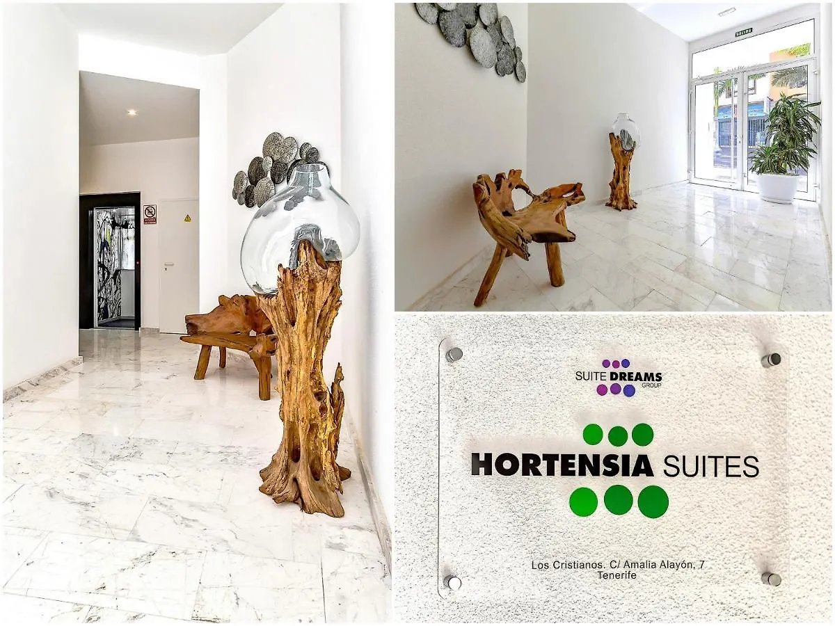 Luxury Penthouse Sea View, Los Cristianos