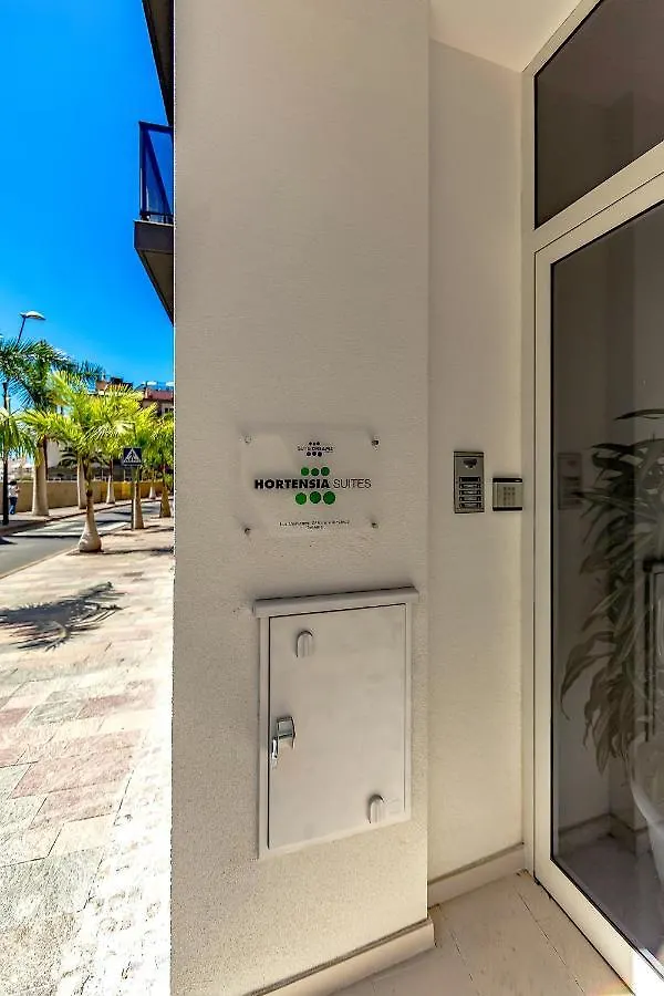 Luxury Penthouse Sea View, Los Cristianos